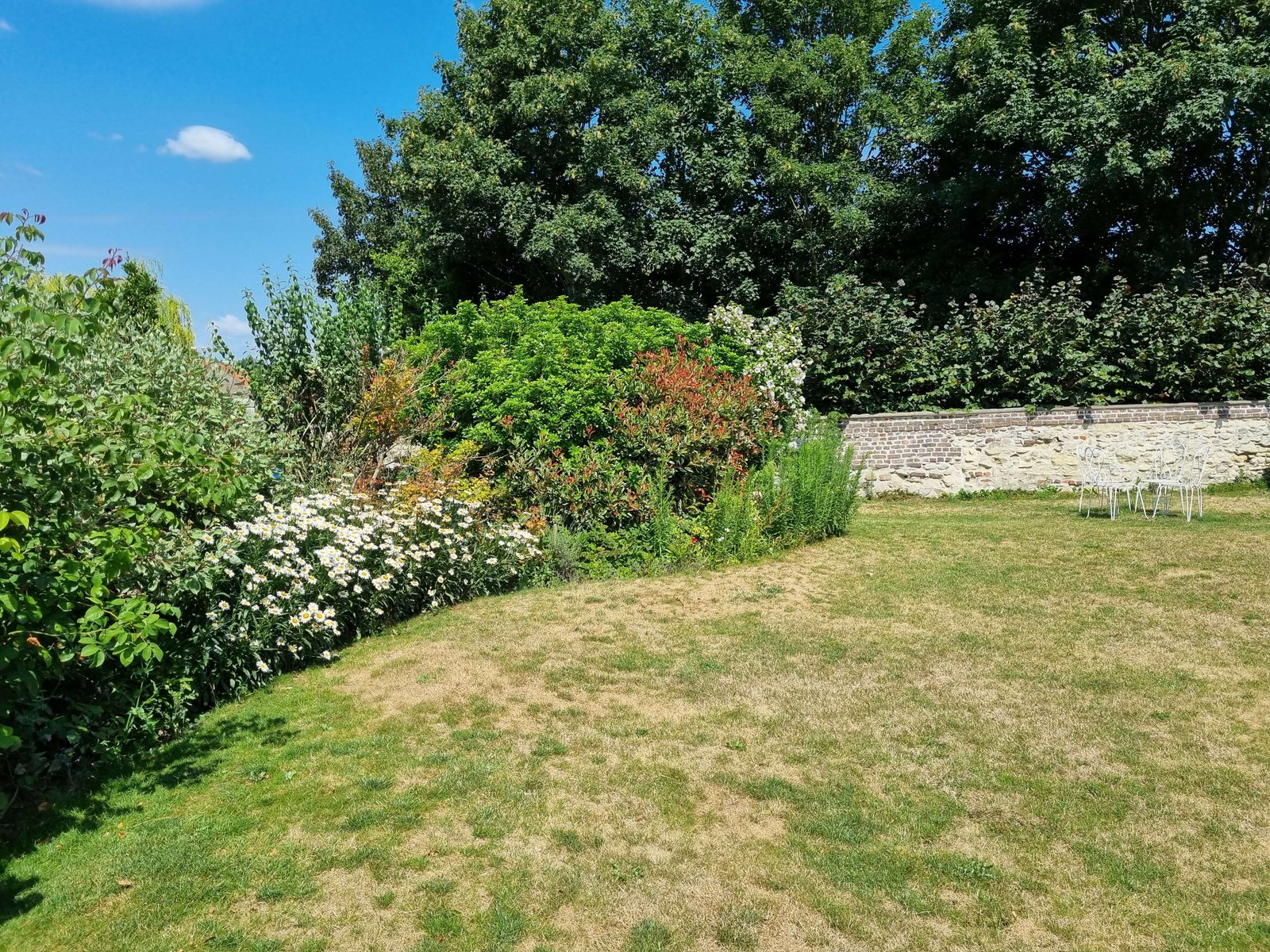 Pelouse fraîchement tondue dans un jardin paysagé avec massif fleuri